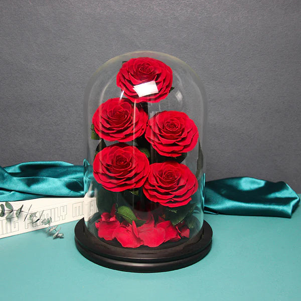 5 Natural Preserved Bloom Roses Glass Dome With Paper Box