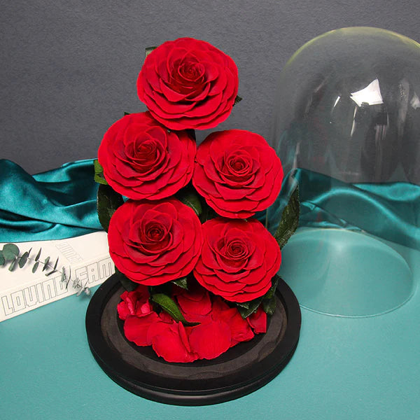 5 Natural Preserved Bloom Roses Glass Dome With Paper Box