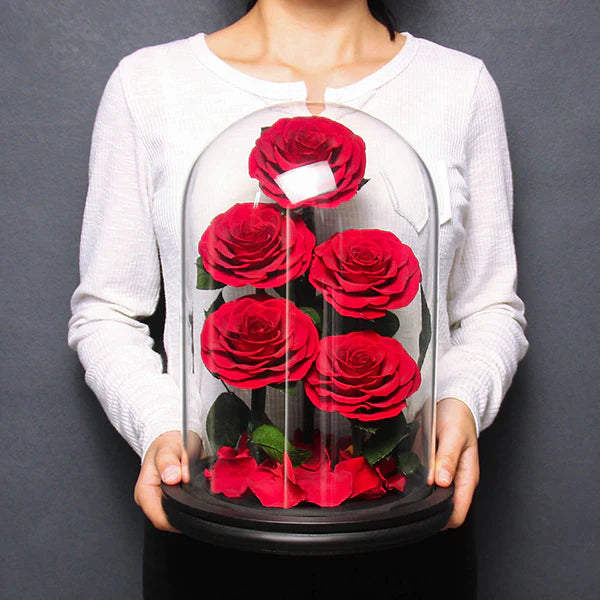 5 Natural Preserved Bloom Roses Glass Dome With Paper Box